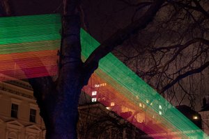 A photo of the artwork Spectral. Many strands of brightly neon coloured cord all run in the same direction, closely spaced. The cords run up to a ‘v’ in a tree trunk, and then down again.