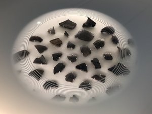 A selection of Roman artefacts under glass.