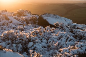 A golden sunset with snow covered rocks and grasses in the foreground.