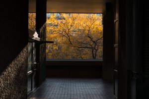 Looking straight on down an exterior walkway in the Barbican. There’s a balcony / walkway at the end, and an autumnal tree lit up brilliantly in orange in the afternoon sun.