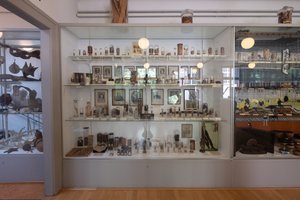 A display case in the Pharmacy museum in Basel. Many small specimens can be seen on each shelf.