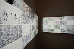 A photo of two light panels displaying photos of microscopic objects.