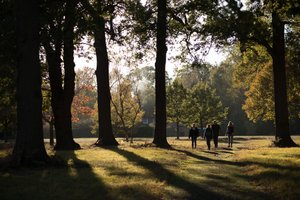 A photo of four people walking in late evening sunlight. They’re silhouetted with sunlight behind them.