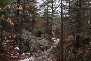 A photo of a rocky and snowy path in a forest.