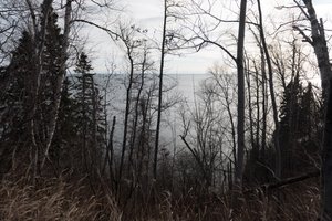 Looking through leaf-less trees and pines to Lake Superior