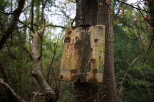A badly rusted metal sign attached to a tree trunk in a woodland. The letters ‘fire’ are just visible.
