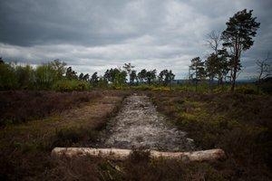 A rectangular stony clearing in a brown outdoor area.