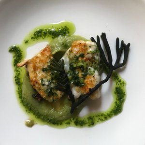 Looking down on a plate of food. There’s two fried pieces of cod’s chek, with a sprig of seaweed and green dressing drizzled about.