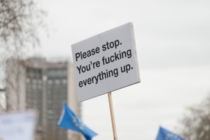 A single protest sign held high in the air. It’s white with black text. The text reads ‘Please stop. You’re fucking everything up.’