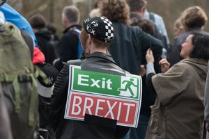 A protest sign taped to the back of a woman in a black leather jacket. The sign looks like an emergency exit sign and reads “Exit; BREXIT”.