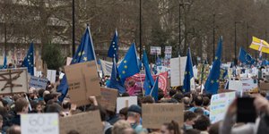A sea of blue EU flags and protest signs in the crowd at the protest.