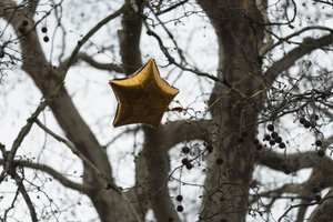 An inflatable gold star stuck in a tree.