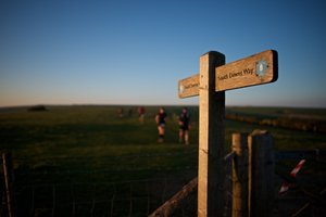 A wooden sign points the way along the South Downs way in late afternoon sunlight.