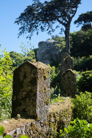 Exterior castle battlements covered in moss on a sunny day.