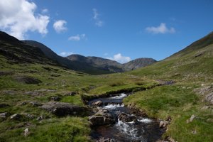 A small stream comes from the distance and under the camera. The hillside is green and sunny.
