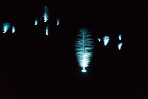 Feathers spin quickly at night. They’re lit from below, and look almost like smoke.