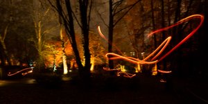 Orange streaks of light in a dark woodland.