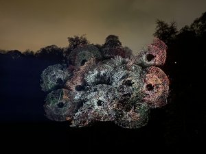 A projector projects repeating patterns on to the trees on a far riverbank.